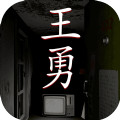 孙美琪疑案王勇