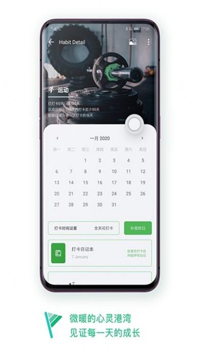 打卡日记(2)