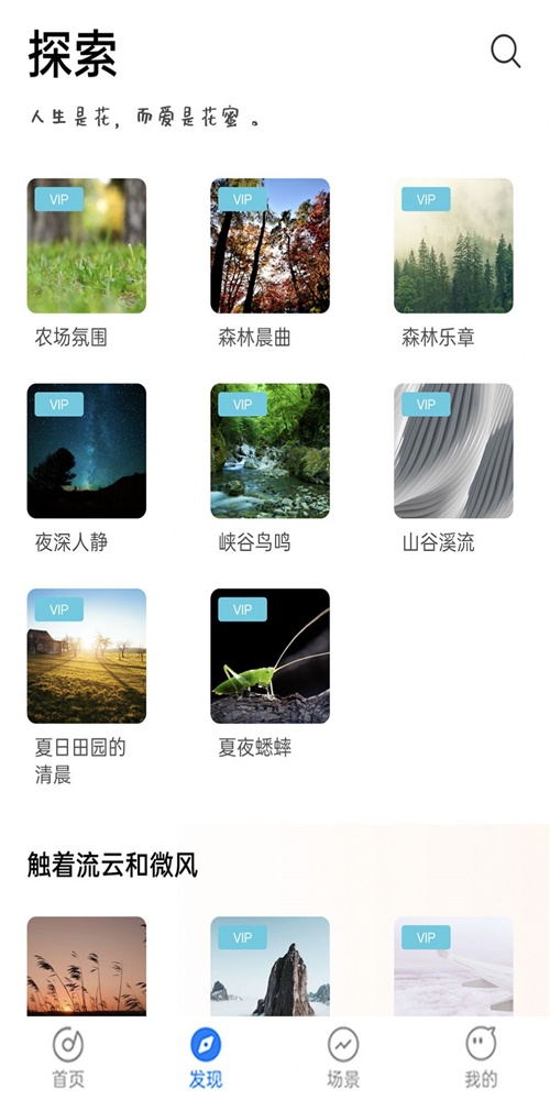 蜜獾睡眠助眠(2)