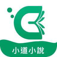 小道小说