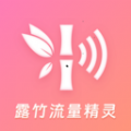 露竹流量精灵