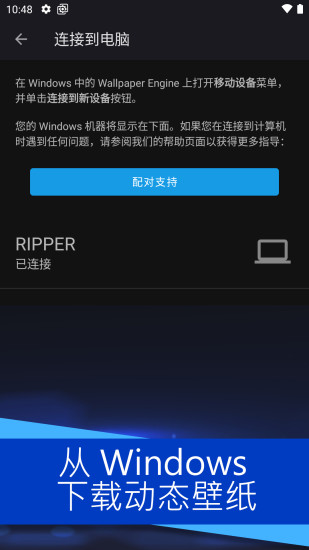 壁纸引擎麻匪(3)
