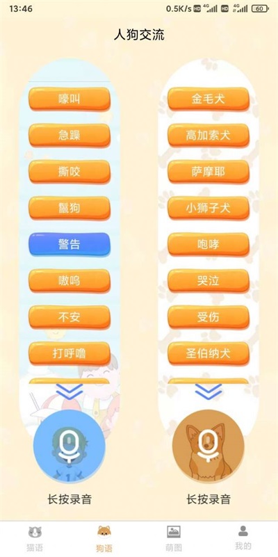 云宇猫狗翻译专业版(1)