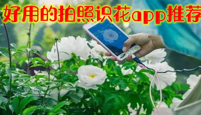 好用的拍照识花app推荐