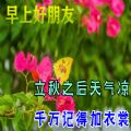 今日立秋图片大全