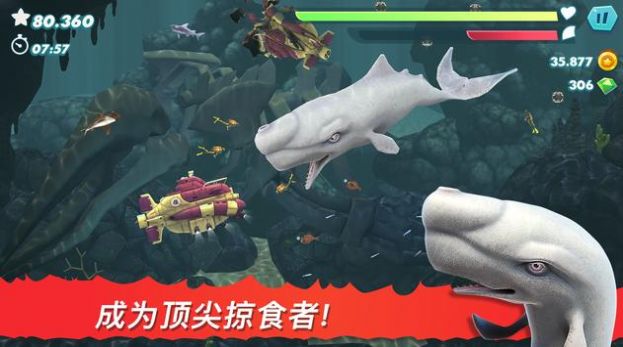 饥饿鲨进化2015旧版(3)
