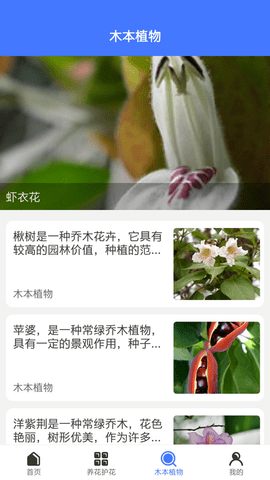 好用拍照识别(1)