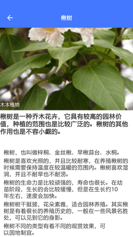 好用拍照识别(4)