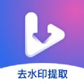 卓思视频去水印提取