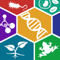 可视化生物学