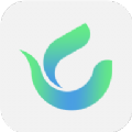 绿茶交友app最新版