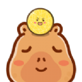 甜瓜之寒水果掉落