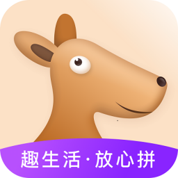 趣拼乐购