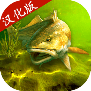 我的钓鱼世界中文内购版