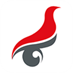 学信网app