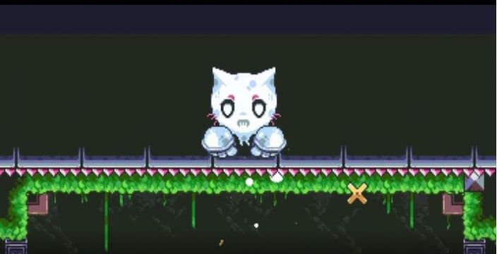 小猫死亡室(1)