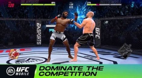 ufc终极格斗(3)