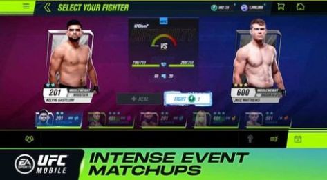 ufc终极格斗(2)