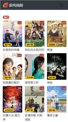 旋风视频(1)