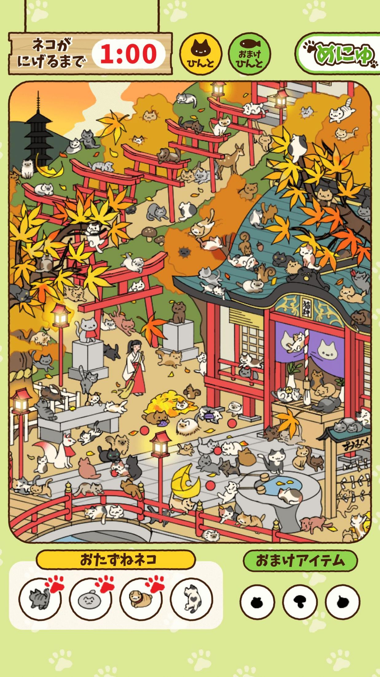 寻找猫咪(1)
