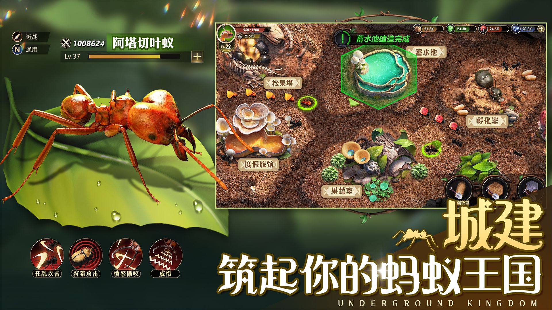 小小蚁国内置功能菜单(3)