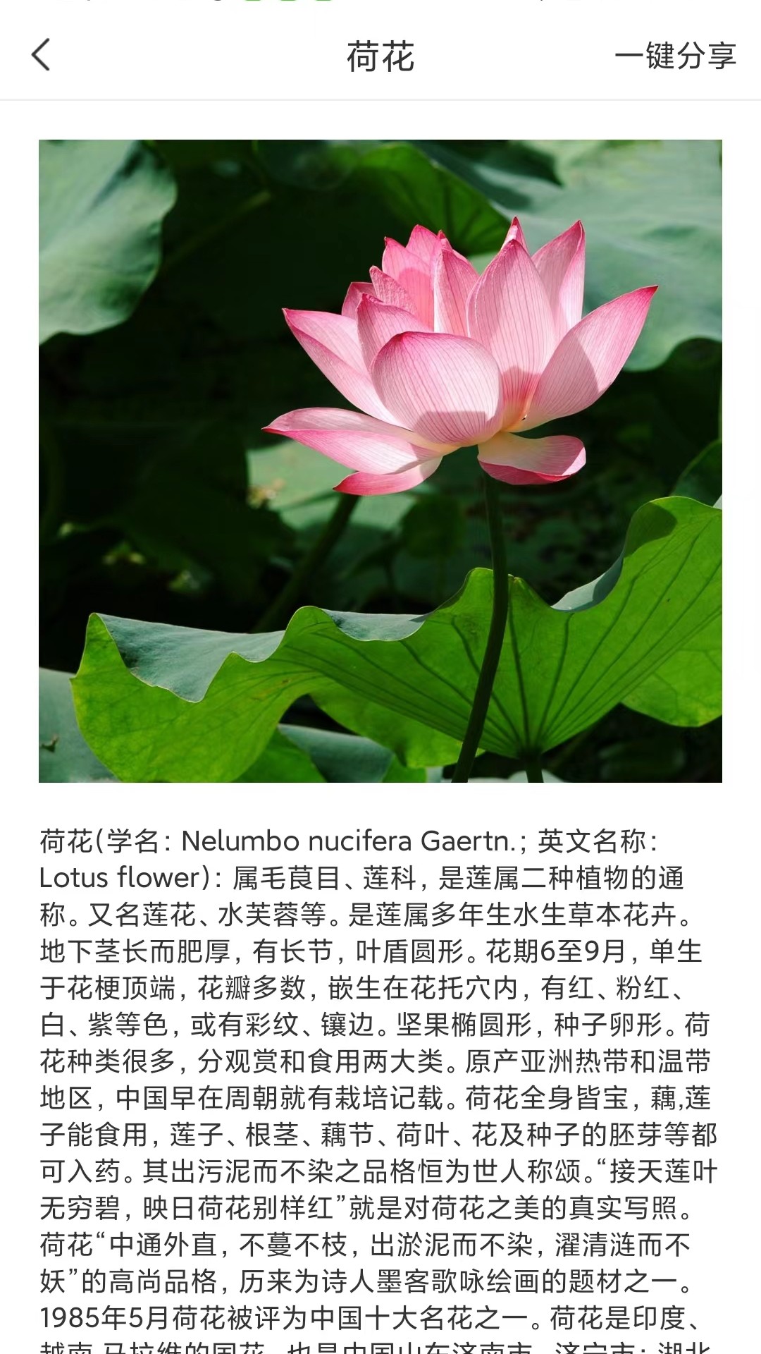 拍照识物全能王(3)