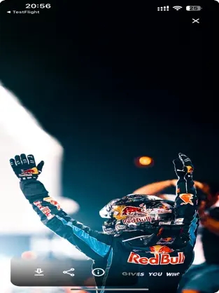 f1壁纸(2)