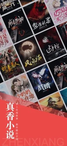 真香小说(1)