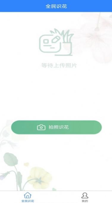 全民识花(1)