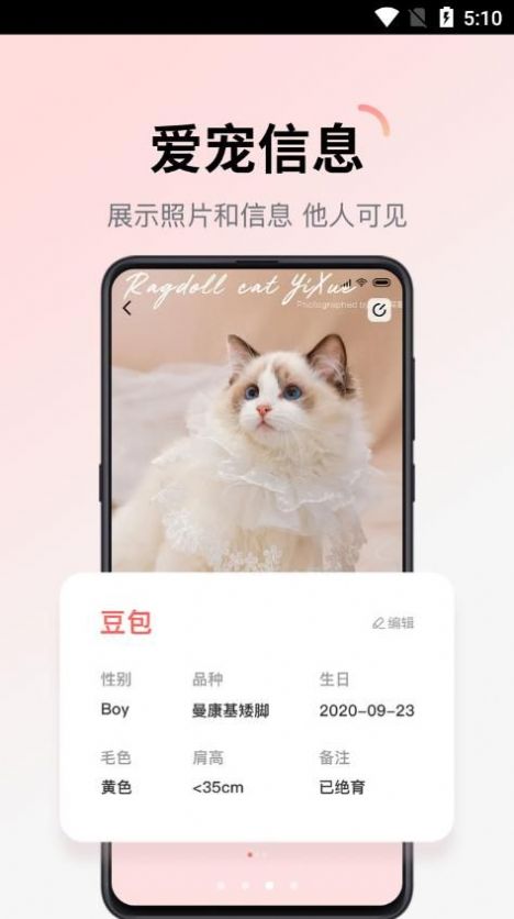 多仔宠物(1)
