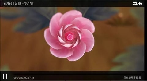 假彩视界(1)