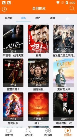 泰迪(2)