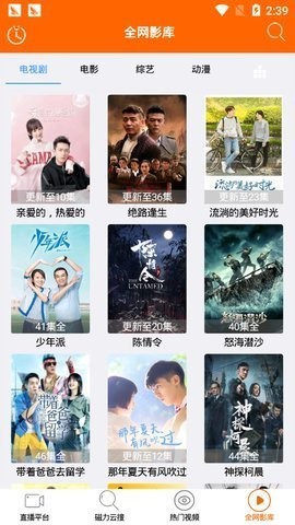 泰迪(3)