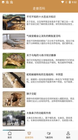 飞禽大全(1)