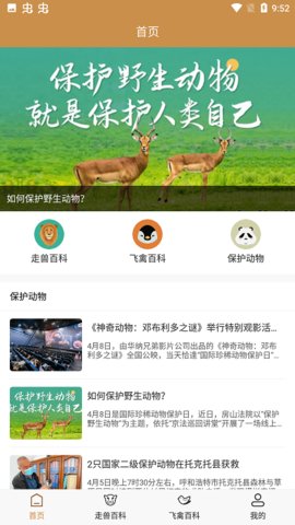 飞禽大全(3)