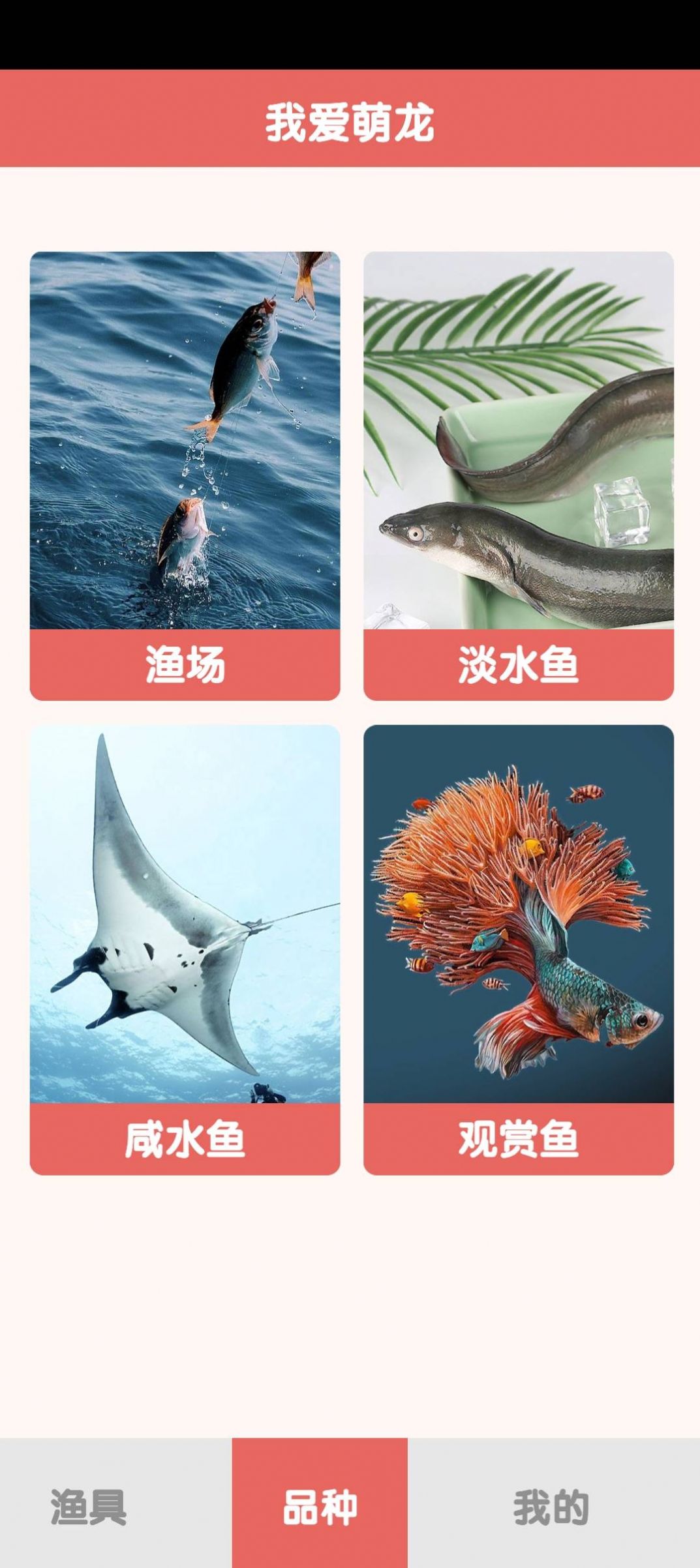 萌龙乐园(3)