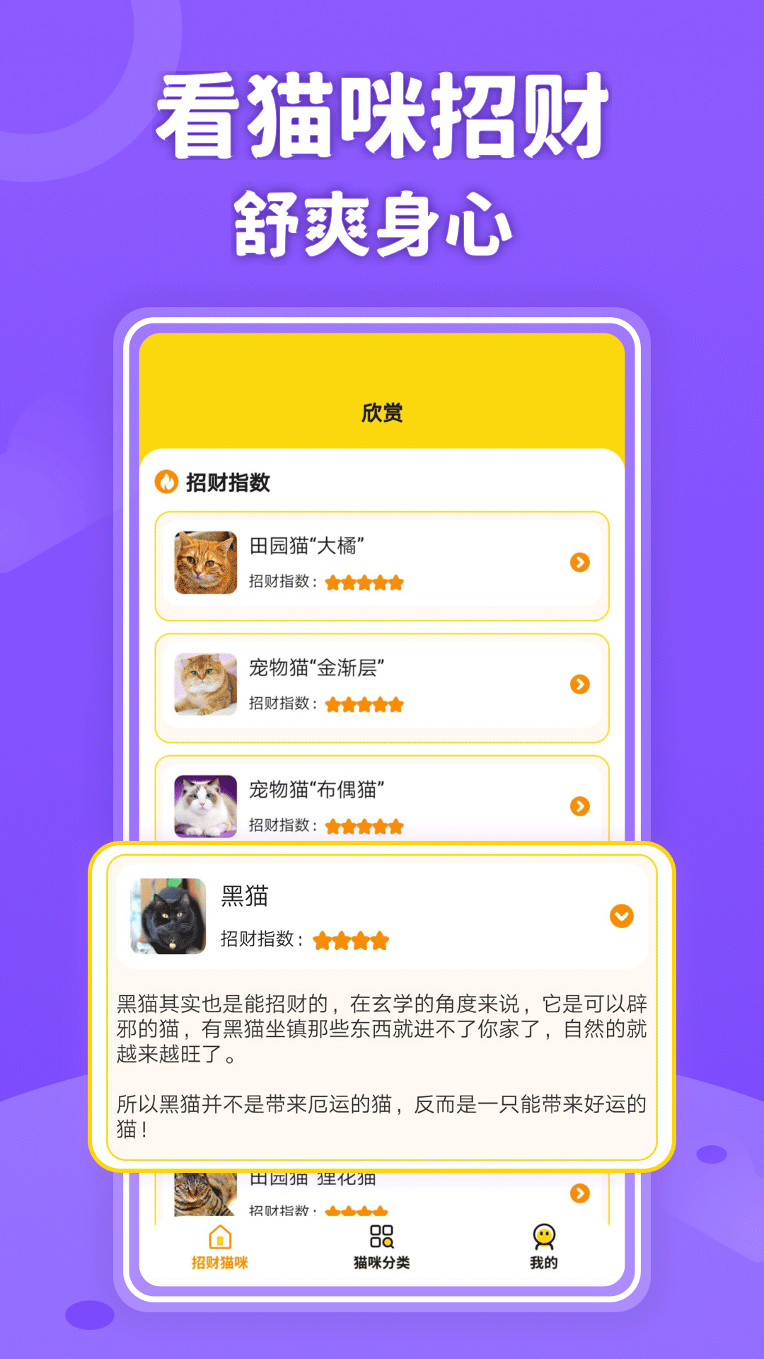 招财进猫(1)