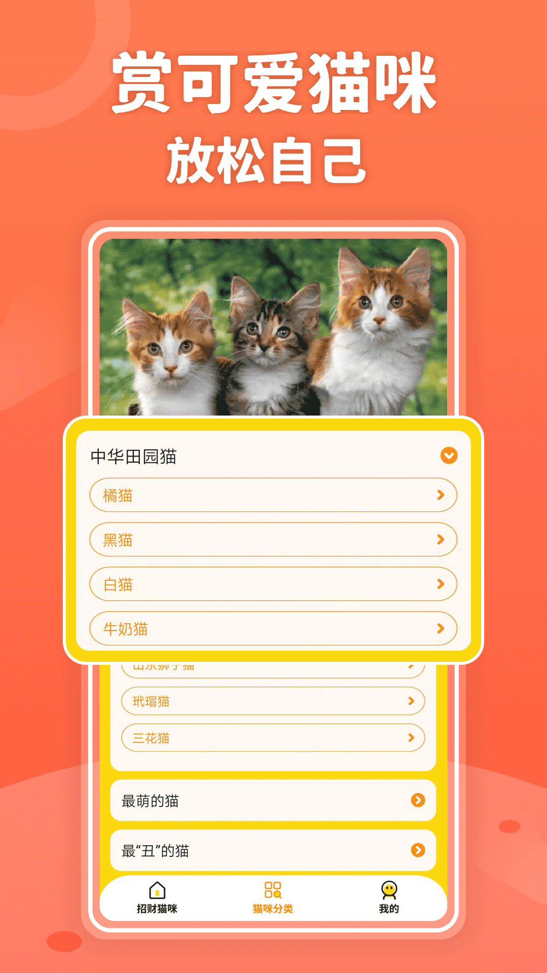 招财进猫(2)