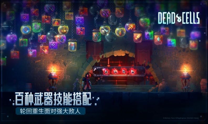 重生细胞完整版免费(2)