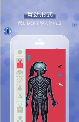 人体探秘(3)
