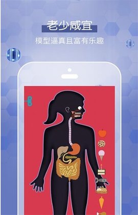 人体探秘(1)