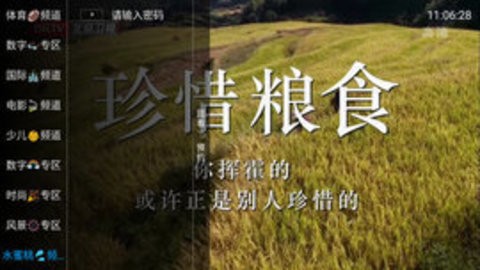水蜜桃TV(3)