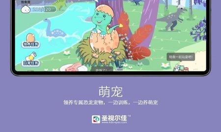 圣视尔佳弱视训练HD(3)