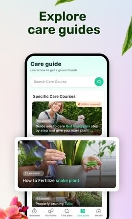 Plant Parent(2)