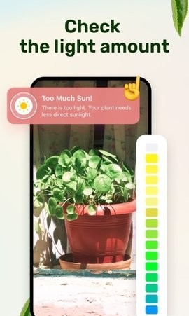 Plant Parent(1)