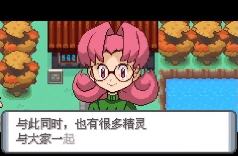 口袋妖怪水银随机版(2)