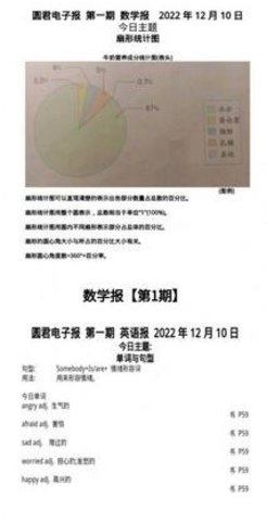 圆君电子报(1)