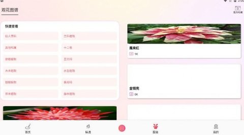 我的开心花园(1)