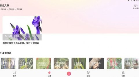 我的开心花园(2)