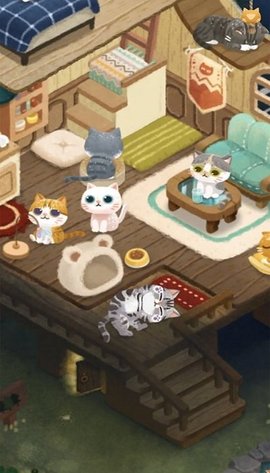 猫咪的秘密森林(1)